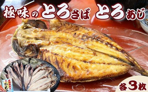 【極味のひもの特製】脂の乗り抜群『とろさば・とろあじ』ひものセット 各３枚 《配送指定OK》《2週間以内に発送》鯖 サバ 鯵 アジ ひもの ひらき 干物 極上干物 脂のり 天日干し 手開き 焼き魚 ご飯のお供 焼き魚セット 人気店 お取り寄せ ひものセット [魚水][0021-0006]