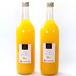 無添加はっさくジュース720ml×6本【順次発送】【AQ-ikd256】