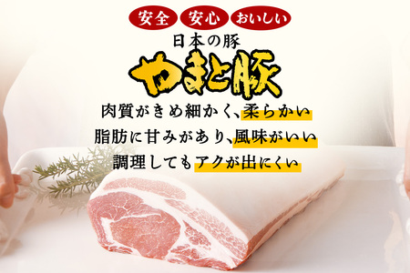 フリーデン やまと豚 おいしい朝食セット ( ハム ベーコン ソーセージ ウインナー ) [0364]