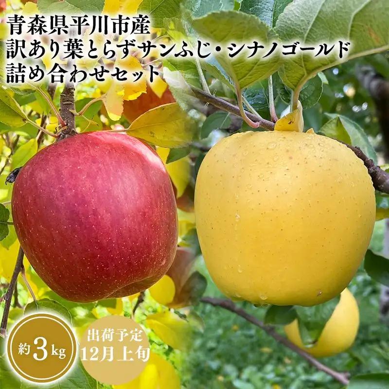 りんご 家庭用 葉とらずサンふじ・シナノゴールド 詰め合わせセット 約3kg 青森県平川市産 りんご