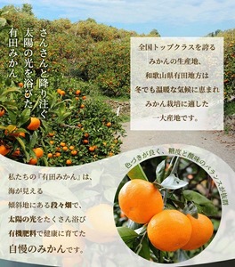 〈10月より発送〉ゆら早生 プレミアム有田みかん 2.5kg+250g（傷み補償分） ｜ みかん