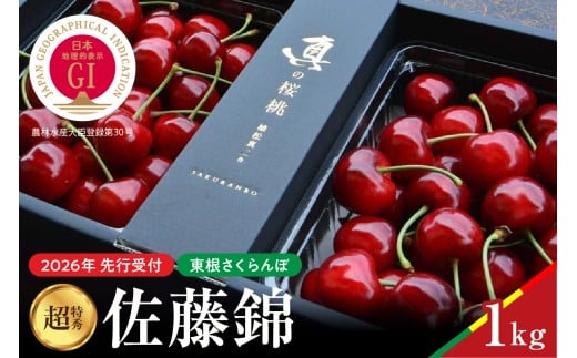【2026年産　先行予約】真の桜桃 佐藤錦 超特秀 1kg 山形県 東根市　hi062-049