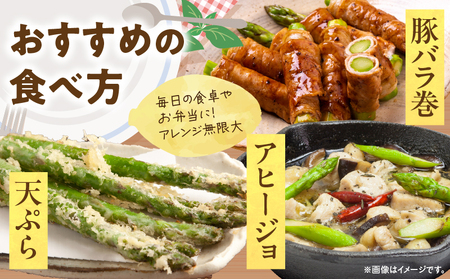 【夏芽】グリーンアスパラガス　サイズ混合約5kg_mk006-004