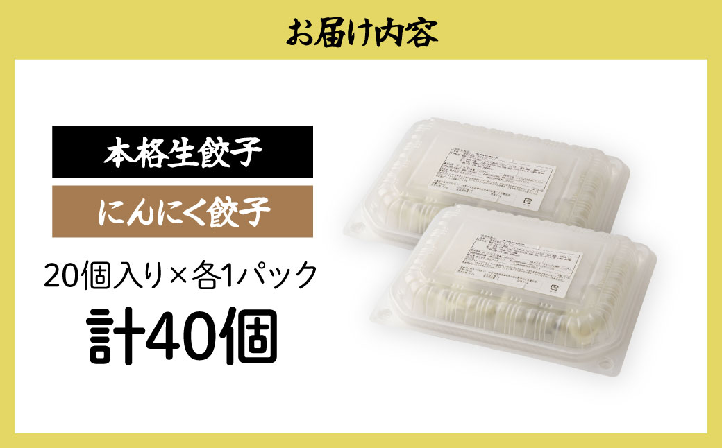 にんにく餃子20個&生餃子20個 餃子 40個 人気店の旨味あふれる冷凍餃子 | 大容量 ギョウザ 冷凍餃子 ギョーザ 冷凍ギョウザ 冷凍 冷凍ぎょうざ ぎょうざ ぎょーざ おいしい 手軽 食べ比べ 
