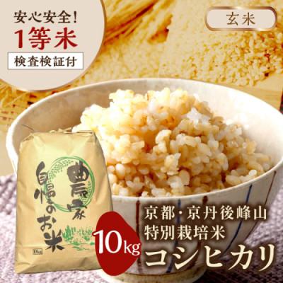 ふるさと納税 京丹後市 2025年産 京都・京丹後峰山 特別栽培米コシヒカリ 10kg 【玄米】 1等米 検査済証付