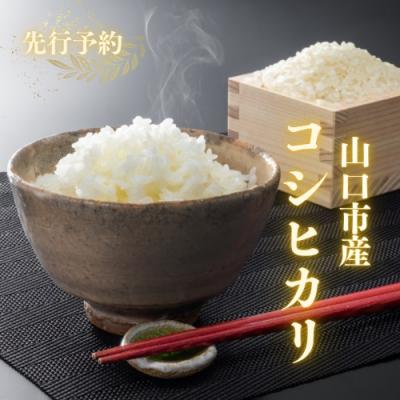 ふるさと納税 山口市 農家直送!山口市産新米「コシヒカリ」精米10kg D404 |  | 01