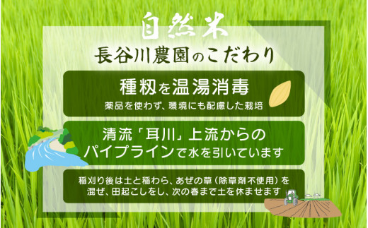 【令和8年産】長谷川農園の コシヒカリ 無洗米 5kg【お米 こしひかり 5キロ 精米 ブランド米 ふるさと納税米 産地直送】 [m22-a011]