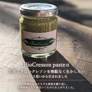 富士吉田市のクレソンペーストセット 野菜