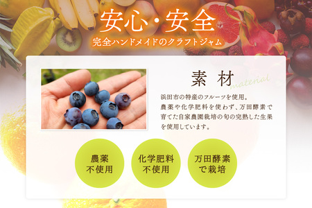 【先行予約】浜田市の季節の旬の果物を使ったクラフトジャムセット【限定】（いちじく・なし・ネーブルオレンジ） 加工品 果物 フルーツ ジャム ギフト 自家製 国産 有機砂糖 いちじく なし ネーブルオレ