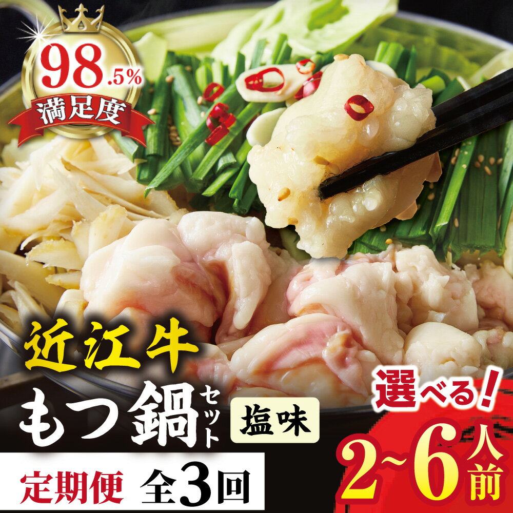 【ふるさと納税】【定期便】ホルモン屋が作った本気のもつ鍋セット塩味 全3回 もつ鍋 2〜3人前 選べる 数量 1回分 / 2回分 ホルモン 300g スープ 150g 牛肉 国産 鍋 冷凍