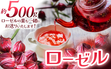 ローゼル (ローゼルの葉同梱) 500g | ローゼル ハーブティー ジャム コンポート シロップ 美容ドリンク 手摘み 農薬不使用 化学肥料不使用 送料無料 栃木県 下野市