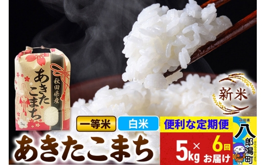 《新米》《定期便6ヶ月》あきたこまち 一等米 5kg【白米】 令和8年産 秋田県産 こまちライン [新米 こまちライン あきたこまち ブランド米 お米 白米 精米 米どころ 秋田 秋田県産]