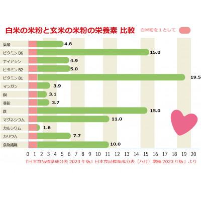 ふるさと納税 真庭市 パン ピザ用 ミズホチカラ 玄米粉 20kg |  | 01