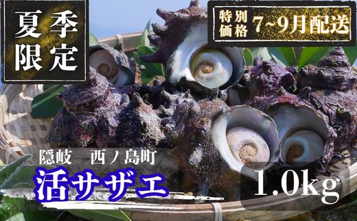 【限定価格！7～9月配送希望の方！】コリ旨！獲れたて鮮度抜群 島獲れ活サザエ1.0kg満足セット - 磯の香りと海の恵みを食卓へ 冷蔵便 サザエ 栄螺 貝 海鮮 BBQ さざえご飯 壺焼き 刺身 バー