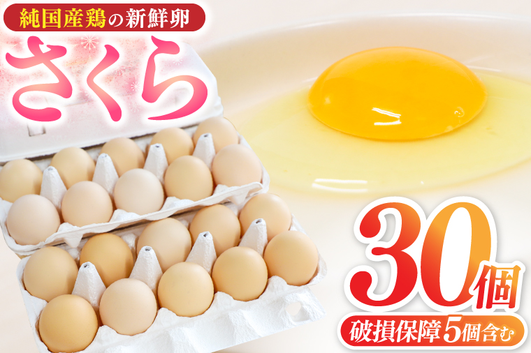 【浅沼養鶏場】卵たまご 卵 玉子 鶏卵 純国産鶏 さくら 純たまご 30個入り 破損保証5個含む 採れたて 新鮮 農地直送 (AJ027)
