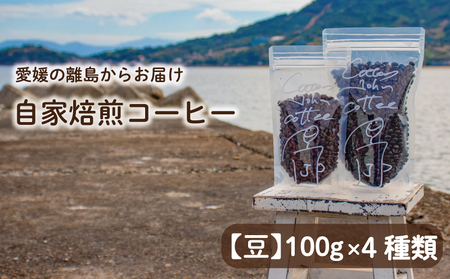 【コーヒー 豆】100g×4種類 おまかせ 自家焙煎 珈琲 愛媛県 松山市【CJC002_m】 