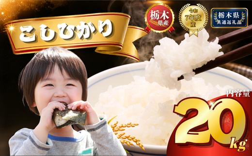 コシヒカリ20kg（5kg×4袋) | 米 こめ コメ kome 白米 精米 お米 栃木米 ブランド米 栃木県 特産品 送料無料 【栃木県共通返礼品】 栃木県 下野市 しもつけ市