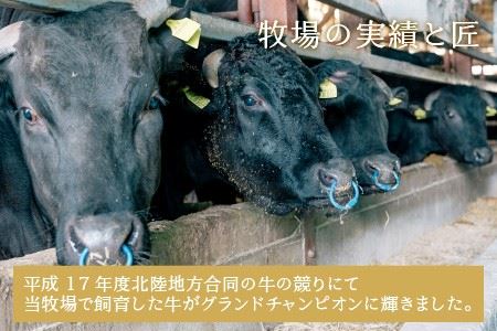 若狭牛焼肉 特上カルビ六種 盛り合わせ 計600g【C-1851】