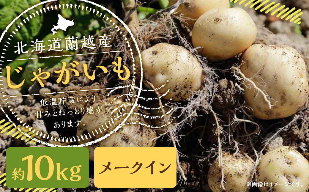 
北海道 蘭越産 じゃがいも（メークイン） 約10kg【2024年11月下旬～2025年4月上旬発送予定】
