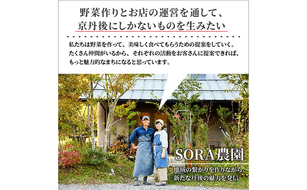 【先行予約11月下旬～順次発送】SORA農園の有機にんじん5kg　有機野菜 有機農園 オーガニックファーム オーガニック野菜 有機栽培 人参 にんじん ニンジン キャロット 冬野菜