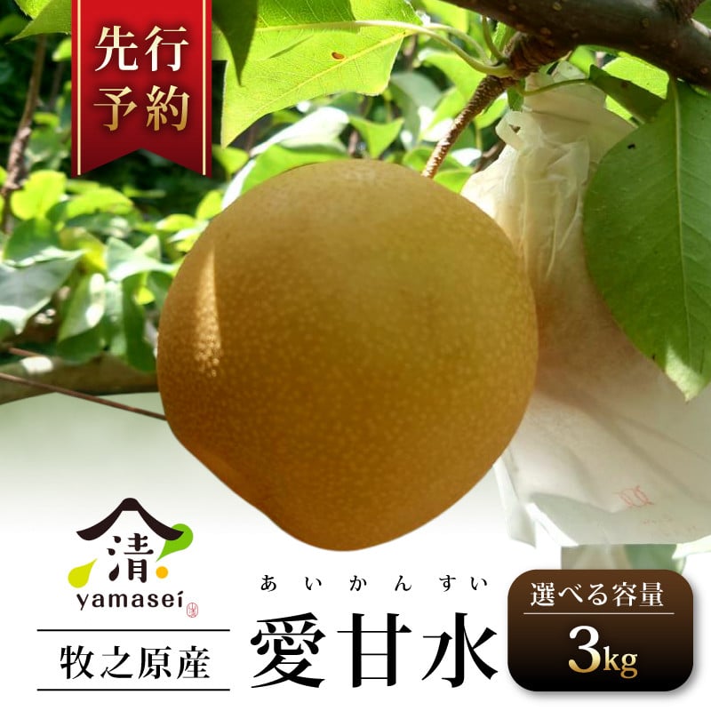 
             梨 愛甘水 3kg 予約受付 7月中旬より順次発送 フルーツ なし あいかんすい 果物 安心 おいしい 国産 山清 yamasei 静岡県 牧之原市
          