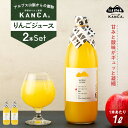 【ふるさと納税】リンゴジュース KANCA 季節のりんごジュース お楽しみ 1L 2本 セット りんごジュース アップルジュース ジュース 果実飲料 飲み物 ドリンク 飲料 信州 長野 長野県　箕輪町