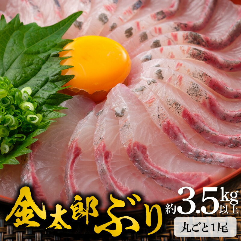【ふるさと納税】宮崎産 新海屋 鰤屋金太郎 金太郎ぶり 丸ごと 1尾 約3.5kg以上