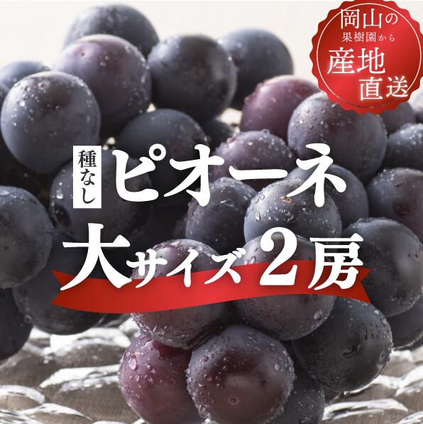 【ふるさと納税】 ピオーネ 特大サイズ2房入 計1.3kg以上 岡山県産 大粒 種なし 【2026年発送 先行予約 8月以降順次発送】 ぶどう 葡萄 果物 ピオーネ フルーツ くだもの 大房 黒葡萄 送料無料 冷蔵 数量限定 ブドウ 期間限定 産地直送 人気 真庭市