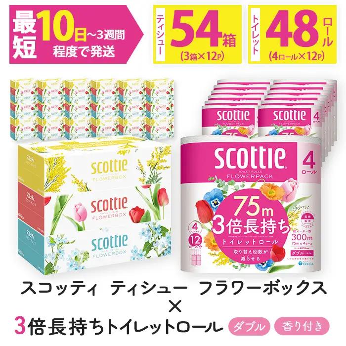 スコッティ トイレットロール 48個 + ボックスティッシュ 54箱（トイレットペーパー ティッシュ 日用品）