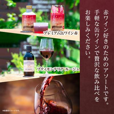 ふるさと納税 笛吹市 缶ワイン 赤 2種 計12本セット モンデ酒造 山梨県 笛吹市 |  | 01