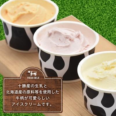 十勝白い牧場 アイスクリーム 6種23個(バニラ ストロベリー チョコ チーズ メロン ハスカップ)【配送不可地域：離島】