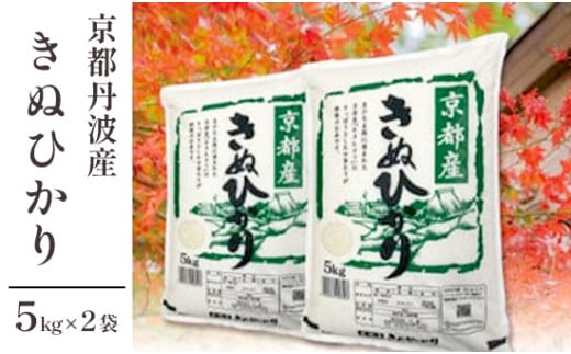 令和7年度産 新米 丹波産 きぬひかり 10kg（5kg×2）【 キヌヒカリ 米 お米 食味鑑定士が厳選 京都 綾部 コメ 10キロ 精米 白米 米 丹波 】