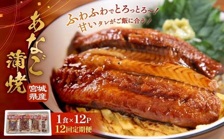 宮城県産あなご蒲焼（1食）12入 12回定期便 毎月配送 冷凍 小分け 穴子 アナゴ 蒲焼き 魚 お魚