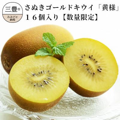 ふるさと納税 三豊市 【2025年10月から順次発送】さぬきゴールドキウイ「黄様」16個入り