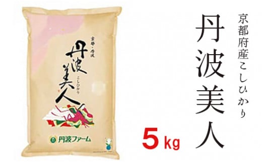 寄附額見直し（2025/12/2~） 令和7年度産 コシヒカリ「丹波美人」白米 5kg 【米 お米 白米 精米 京都府産 ごはん こめ 国産 5キロ 京都府 京都 綾部市 】