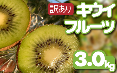 【先行予約】【12月上旬~順次発送】 訳あり キウイ フルーツ 3kg 腸活 グリーンキウイ 健康 甘い フルーツ 無選別 規格外 果物