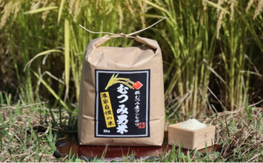 むつみ男米 白米 5kg