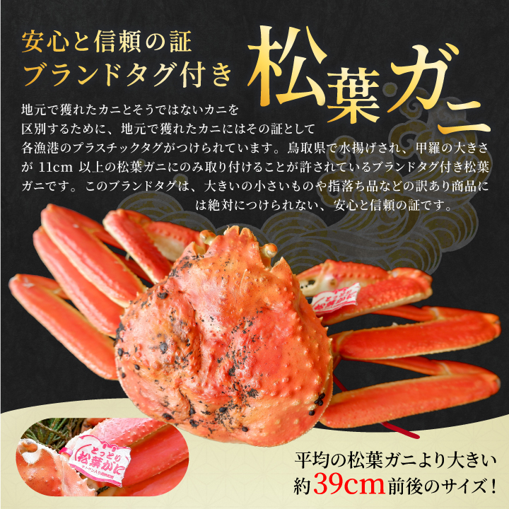 OM-27　ブランドタグ付 高級ボイル松葉ガニ（600ｇ～700ｇを２枚）