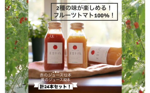 
                  【選べる配送回数】ドロップファームの美容トマト(R)トマトジュースたっぷり24本セット【とまと フルーツトマト 野菜ソムリエ 朝採れ アイコ イエローアイコ 小鈴 フルティカ 野菜 フレッシュ リコピン 大容量 茨城県 水戸市】（CK-28）
                