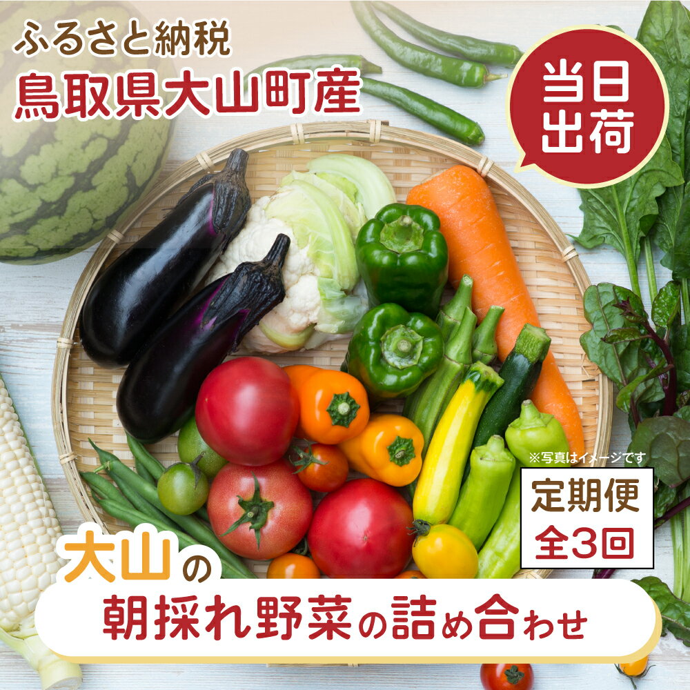 【ふるさと納税】MS-04　新鮮朝採れ野菜セット 頒布会　定期便（計3回）季節 野菜詰め合わせ 野菜 生野菜 加工品 朝どれ野菜 野菜セット 詰め合わせ 野菜加工品 バラエティセット 料理 新鮮 鳥取県 鳥取県産 大山町 大山 サラダ 常温保存 くだもの やさい 6種類以上