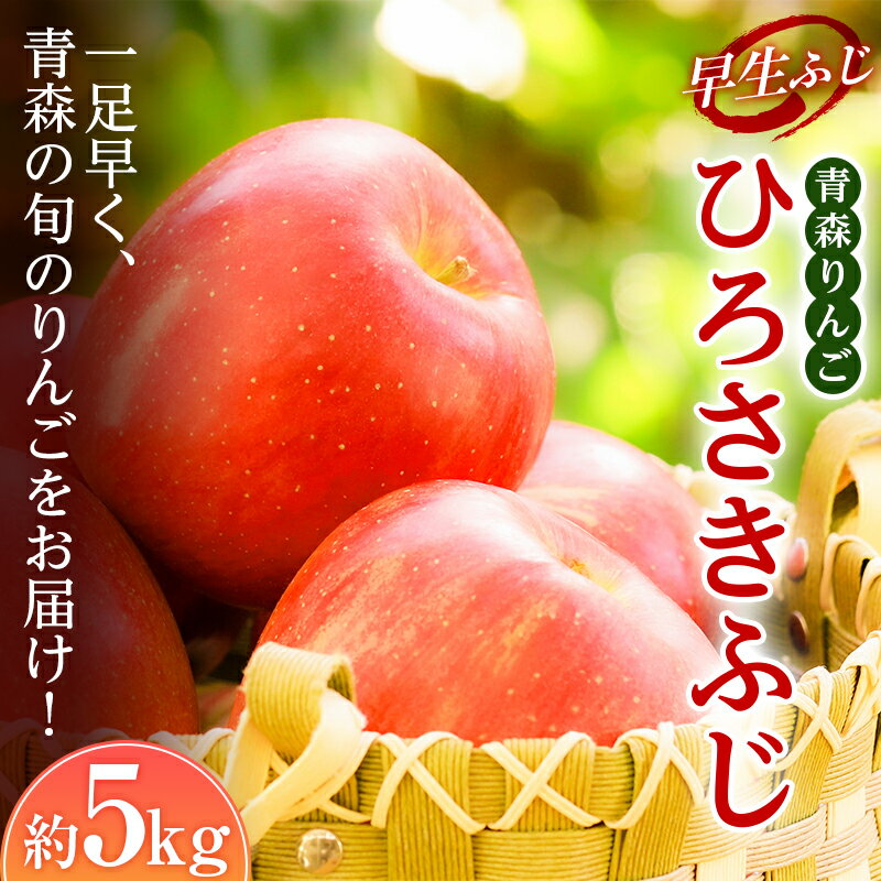【ふるさと納税】 青森りんご 早生ふじの代表格 ひろさきふじ 約5kg 【マルス果樹園】 ふじ りんご リンゴ 林檎 アップル 果物 くだもの フルーツ あおもり 青森 青森県 南部町 三戸 南部 F21U-241