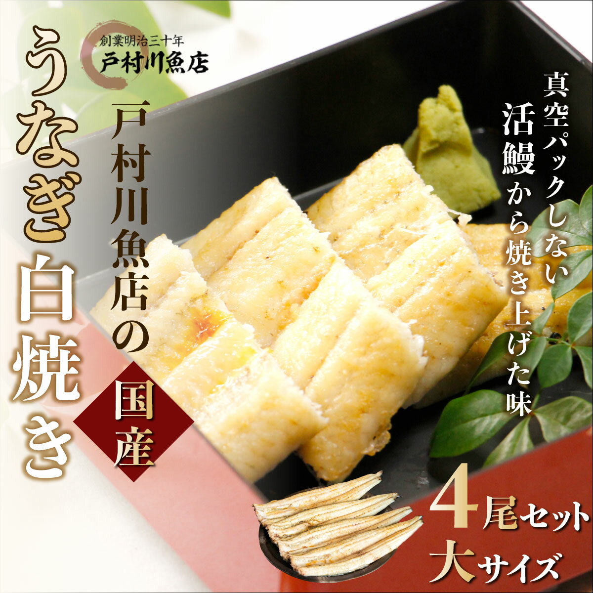 【ふるさと納税】 戸村川魚店の国産うなぎ 白焼き特大サイズ 4尾 セット / うなぎ 国産うなぎ 鰻 国産鰻 ウナギ 国産ウナギ 白焼 白焼き TMR004