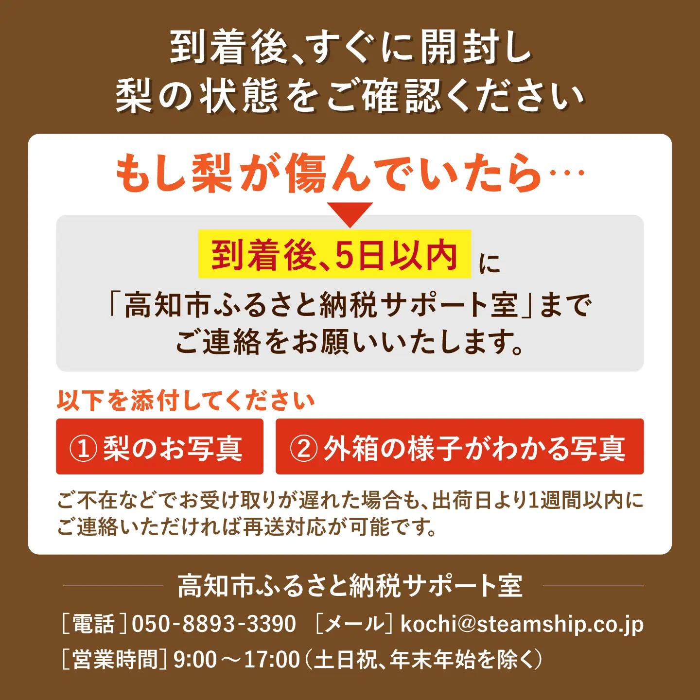 【先行予約】 新高梨 約3kg（5玉）〈2026年9月20日~10月末発送〉 / 高知 新高梨  【川渕果樹園】[ATHX002]