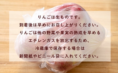紅玉 約2～2.5kg（8～14玉）2026年10月発送 りんご