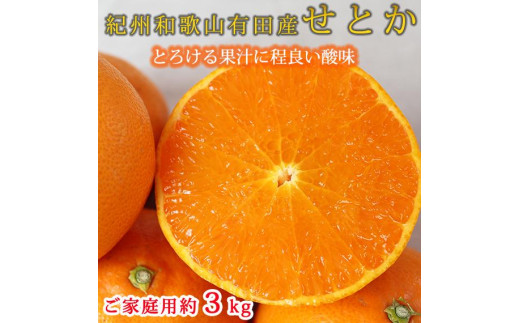紀州有田産せとか 約3kg ［ご家庭用］とろける食感！ジューシー柑橘［2026年2月下旬以降発送］［先行予約］［UT133］