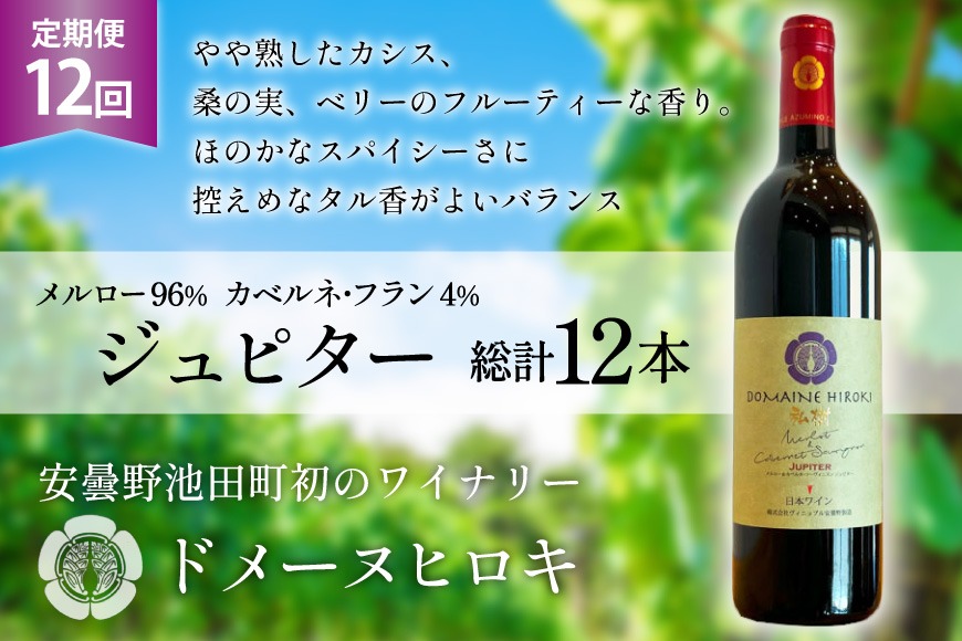 12回 定期便 ワイン ジュピター 750ml×1本 計12本 [ ヴィニョブル安曇野(ドメーヌ・ヒロキ) 長野県 池田町 48110814] ワイン 赤 赤ワイン