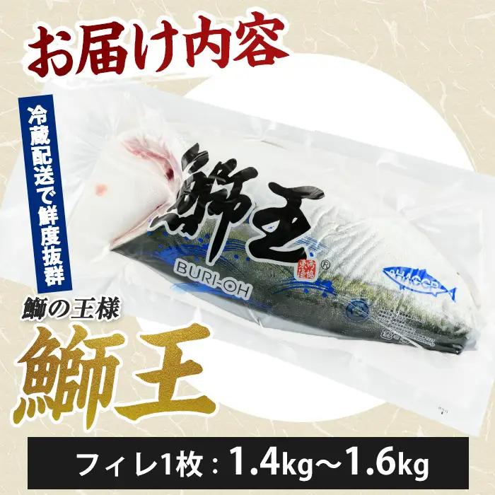 ＼先行予約／【10月以降順次発送】『旅サラダ』で紹介ぶりの王様「 鰤王 」 フィレ 半身 フィレ1枚 産地直送 新鮮 旨味が抜群の 長島町 特産品 ブランド ぶり 鰤 ブリ 切り身 真空 冷蔵 刺身 