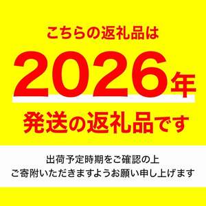 ＜先行予約！2026年10月中旬以降順次発送予定＞香川県産 さぬきゴールドキウイ(約3kg) 国産 果物 フルーツ キウイフルーツ 【man063-B】【Aglio nero】