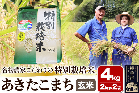 【玄米】【令和6年産】名物農家こだわりの特別栽培米 あきたこまち 4kg（2kg×2袋）