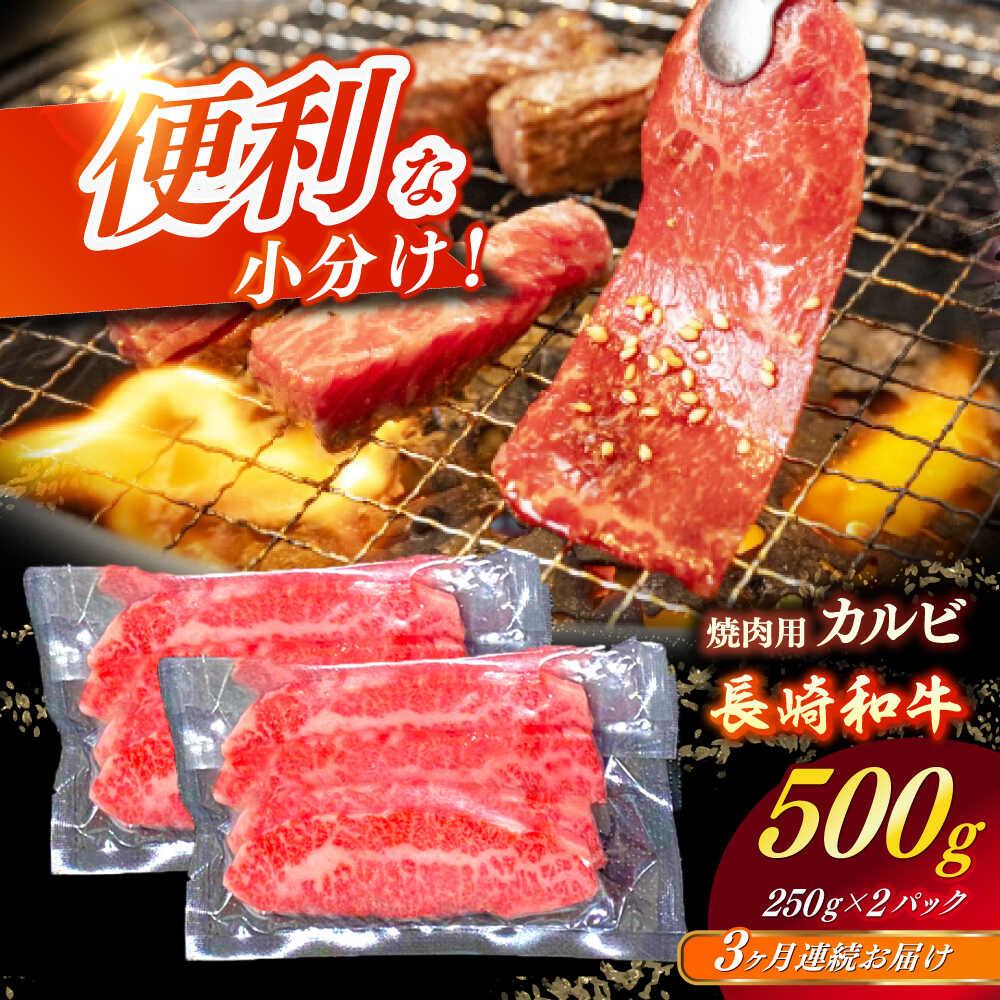 【ふるさと納税】【全3回定期便】 【日本一の和牛】長崎和牛（A4ランク以上）カルビ焼肉用500g 【株式会社時愉亭】[RCE018]